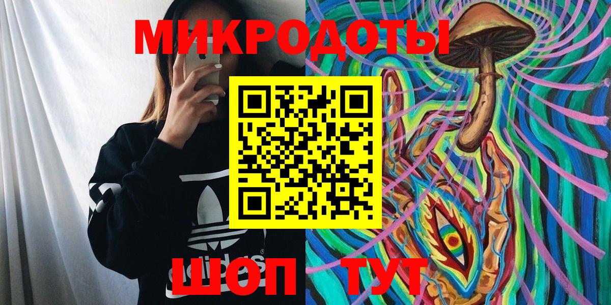 Галлюциногенные грибы Psilocybine cubensis Вязьма